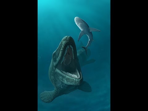 Tribute to Mosasauridae