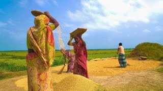 ভিডিও গ্যালারি