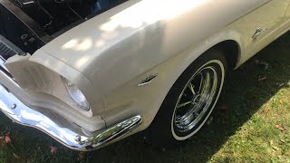 Download lagu LEARN about the 1964 1/2 “mustang' mp3 Download lagu LEARN about the 1964 1/2 “mustang' mp3