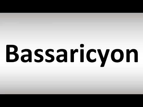 How to Pronounce Bassaricyon