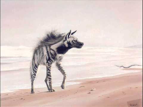Moussa Diallo-Sanamba-The greedy hyena