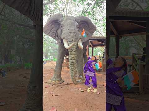 अमायरा कहां गायब हो गयी  🇮🇳 #shorts