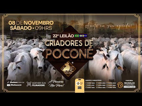 22º  Leilão Digital CRIADORES DE POCONÉ  08 11 2025 09:00 horas.