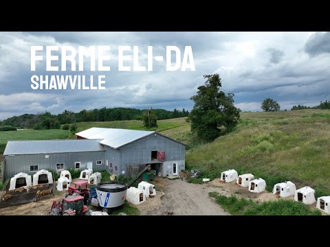 Profil d'éleveur: ELI-DA