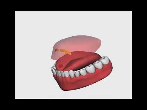 Online sufara - Izgovor harfa RA "Motivacijom ka Džennetu"