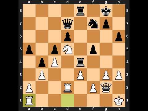 Borislav Ivkov-Miguel Najdorf, Wijk aan Zee 1971, Result: 1-0