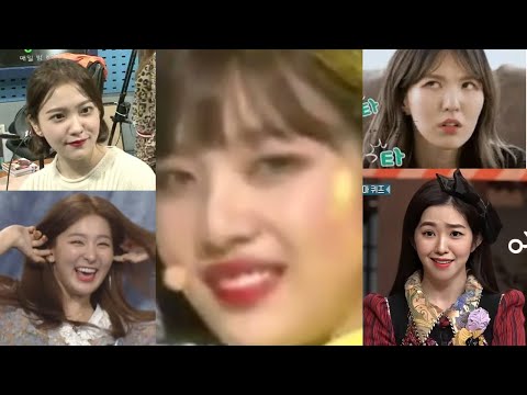 every animal in every red velvet mv