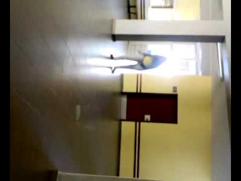 rute prim no seu melhor