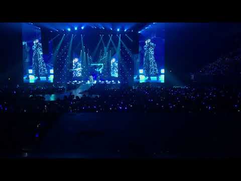 181013 Singularity - V | BTS (방탄소년단) | Love Yourself Tour in Amsterdam (live) Fancam