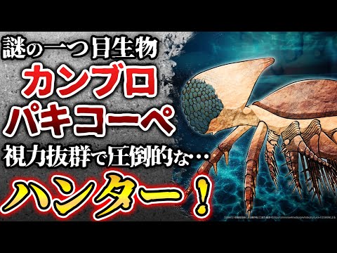 IUCN分類における絶滅の危険性を示す図。