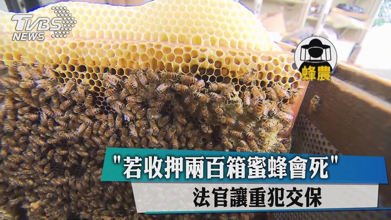 「若收押兩百箱蜜蜂會死」 法官讓重犯交保
