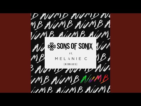 Numb [Wyte Labl Remix]