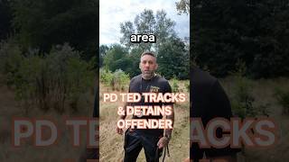 PD Ted tracks & detains offender