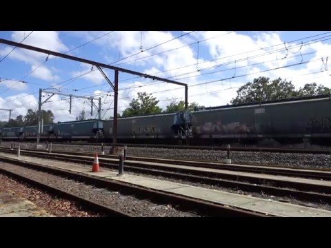 Three 81's and 8255 with a loaded Cargil's train - 16/3/16