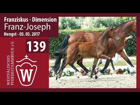 139 Franz-Joseph  Hengst v. Franziskus - Dimension