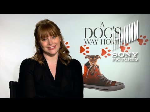 A Dog's Way Home (TV Spot 'Pet Adoptions PSA')