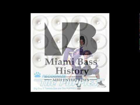 The Puppies - Hokey pokey