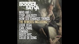 Boddhi Satva- How Sex Changes Things (Louie Vega Rmx alternate)
