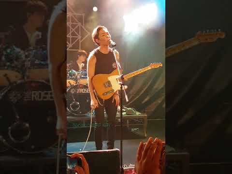 09.12.2018 The Rose - She's In The Rain | Paint It Rose. Sydney AUSTRALIA.