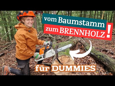Brennholz machen im Wald - Sägen, Lagern, alle Tipps 🌳🪚