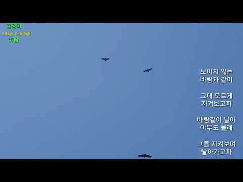 김정미 - 바람(마약왕 OST/엔딩곡)