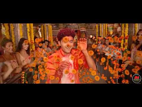 HOLI BIRAJ MA LYRICAL SONG//Genius movie songs