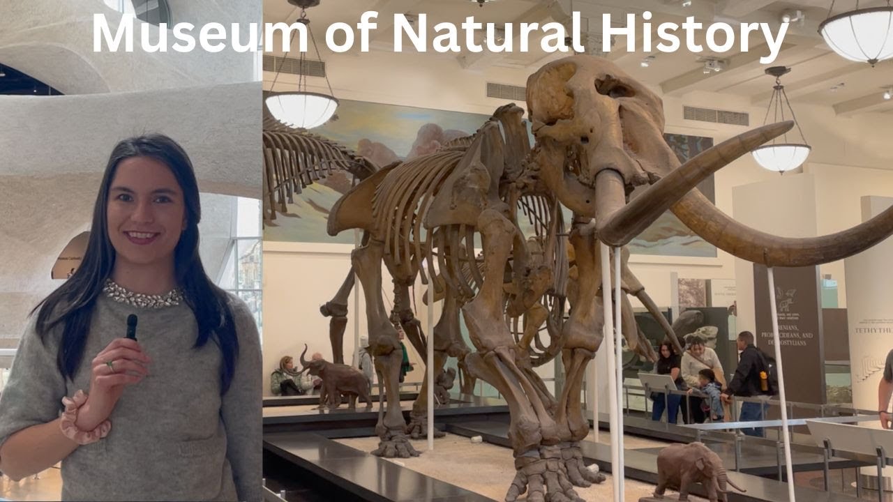 American Museum of Natural History: Everything You Need to Know About Your Visit!