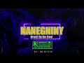 Afro Beat Tropical X Antosy X Malessa X Bassesa Instrumental Gasy Nanegniny 2024 Brack On The Beat