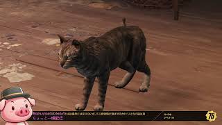 なんかやってるよ【2024/07/13ライブ】