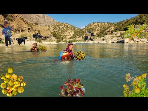 Nomadic Life: Nomadic adventures by the river 🌊| Nomadic life and harvesting from nature 🍇🍎