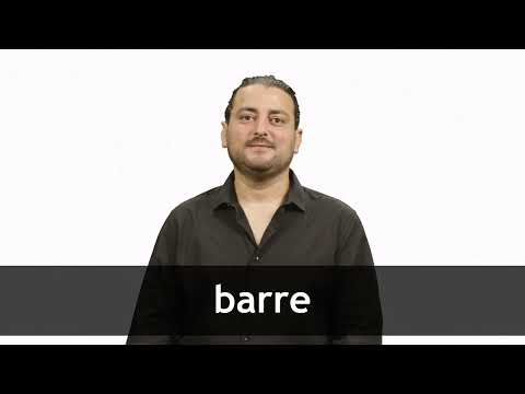 Translate BARRE from French into English