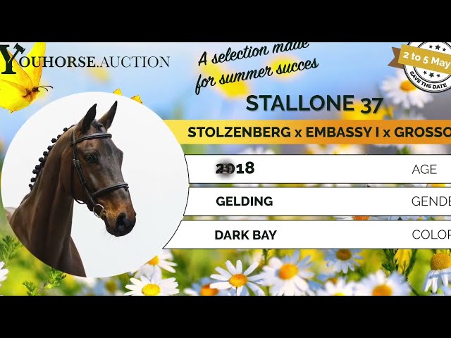 Stallone homevideo