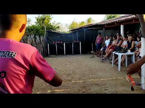final of the Slingshot tournament in Ceará aracati #slingshot #balladeira