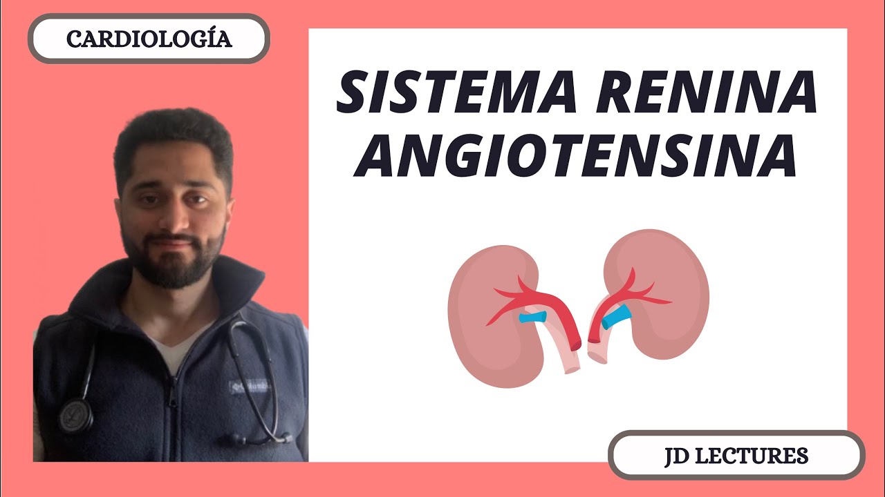 SISTEMA RENINA ANGIOTENSINA ALDOSTERONA | CARDIOLOGÍA
