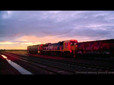 Pacific National Broad Gauge Grain Train 9157 Arrives After Sunset - PoathTV
