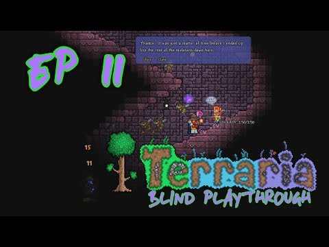 EP11 - Into the Dungeon (Terraria)
