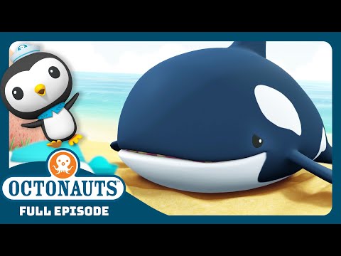 @Octonauts -  🏝️ The Orcas 🐳 | Season 1 | Full Episode | Cartoons for Kids