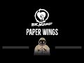 Rise Against • Paper Wings (CC) 🎤 [Karaoke] [Instrumental Lyrics]
