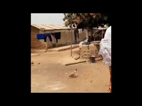 Bisera Boskailo: mein Brunnen In Togo - moj bunar u Togu