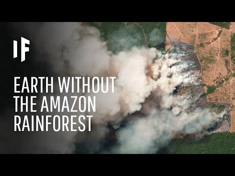 The Earth Without The Amazon Rainforest