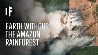 What If We Lost The Amazon Rainforest?