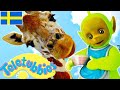 Teletubbies Svenska Hela Episoden Sammanställning 1 Timme Visar För Barn