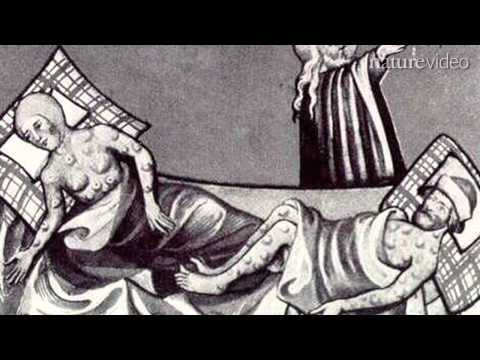 Secrets of the Black Death - by Nature Video