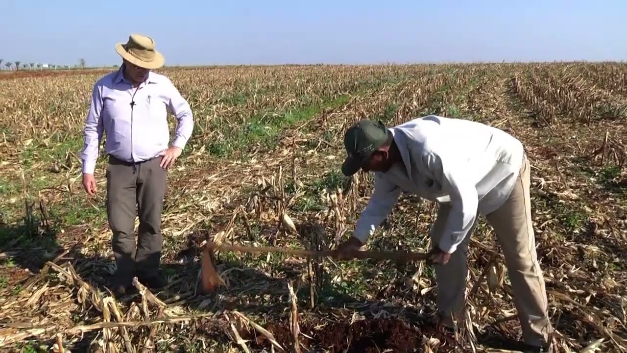 006 Abertura da Trincheira - DRES