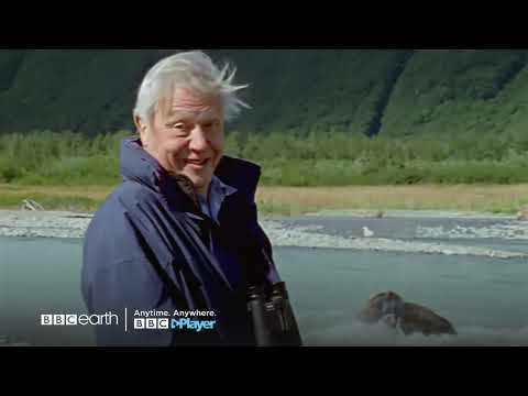 Happy Birthday, Sir David Attenborough! | BBC Player
