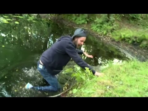 Best of Andreas vurpor - Spring! (TV4)