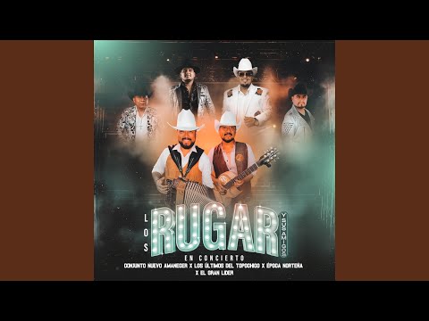 Mueve El Toto (En Vivo)