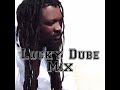 Reggae Lucky Dube Prisoner Mix