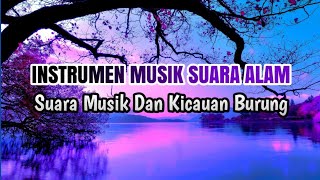 Download lagu INSTRUMEN MUSIK ALAM HUTAN || Suara Musik Dan Kicauan Burung mp3 Download lagu INSTRUMEN MUSIK ALAM HUTAN || Suara Musik Dan Kicauan Burung mp3