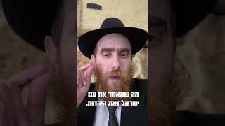 מכנה משותף! קצר ולעניין לפרשת נצבים עם הרב יחיאל גלוכובסקי (הרב יחיאל גלוכובסקי) - התמונה מוצגת ישירות מתוך אתר האינטרנט יוטיוב. זכויות היוצרים בתמונה שייכות ליוצרה. קישור קרדיט למקור התוכן נמצא בתוך דף הסרטון